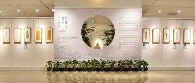 歷史文化與藝術(shù)的多元融合——上海思博職業(yè)技術(shù)學(xué)院中國傳統(tǒng)文化教育活動(dòng)開放日掠影